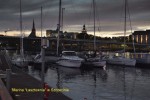 DSC7157