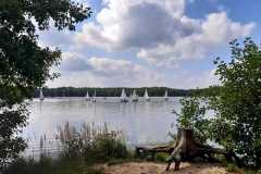 11-Regaty-o-Pieczona-Ges