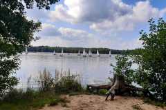 12-Regaty-o-Pieczona-Ges